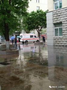 忻州师院爆料事件最新进展,真相逐步浮出水面